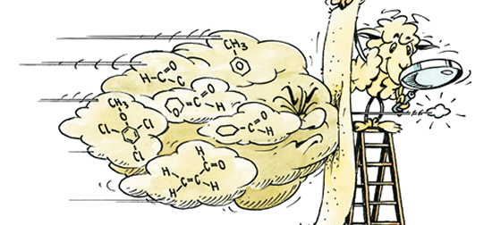 Produkte Fertighasussanierung